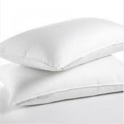 Pillow Waterproof (Wipe Down) x 1