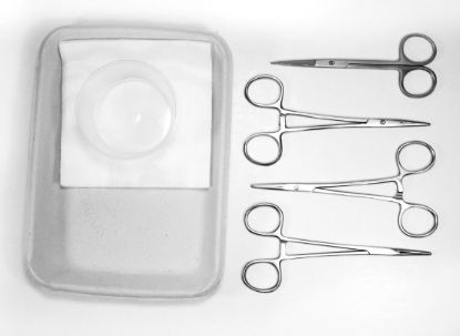 Circumcision Pack (Disposable Sterile Stainless Steel Single Use) x 1