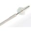 Cervibrush + Profile Cervical Sampler x 100