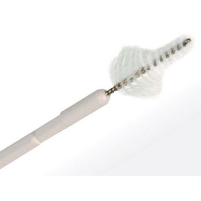 Cervibrush + Profile Cervical Sampler x 100