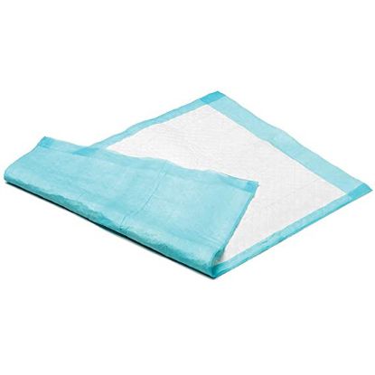 Underpad (Readi) Incontinence 60X40 10 Ply x 100