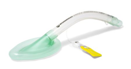 Picture for category Laryngeal Masks