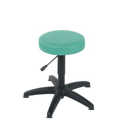 Stool Examination (Sunflower) Glider Base Mint