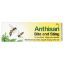 Anthisan Cream 20g (OTC)