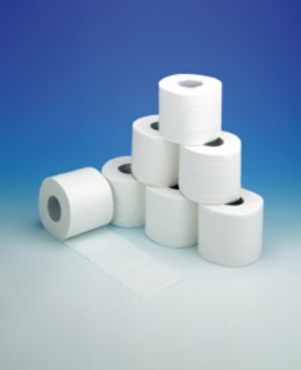 Toilet Paper Rolls 2 Ply x 36 Rolls  White